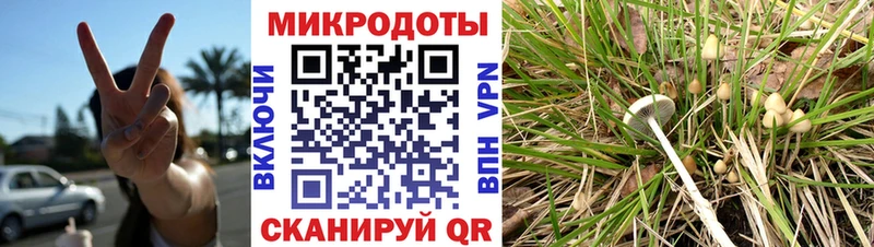 Галлюциногенные грибы мухоморы Корсаков